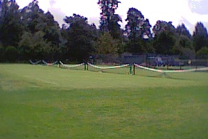 NPLSC Tennis Section - Has 6 Grass Courts at present
